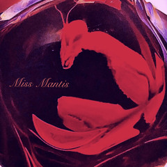 Miss Mantis