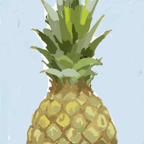 pineapple tours’s avatar