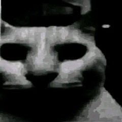 Lxchee - KittyRave2 - Some Arpeggios