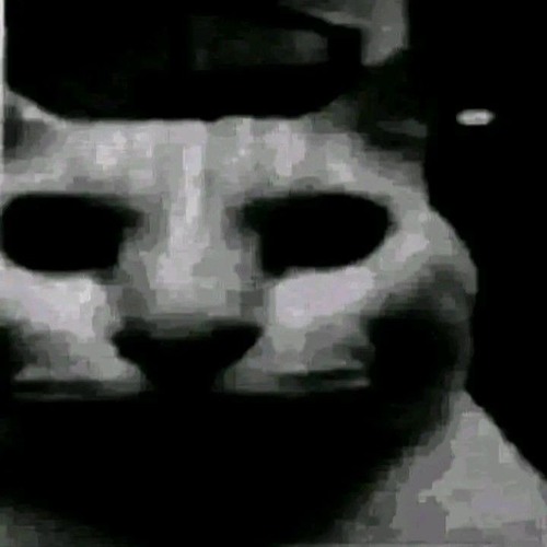 Lxchee - KittyRave2 - Some Arpeggios