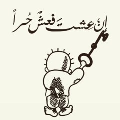 Shoaib313
