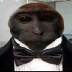 halfdoog