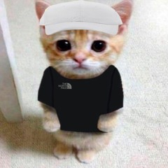 Чечил)