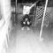lilvacay-official