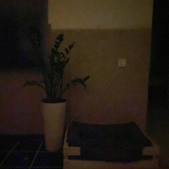 демозаписи