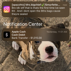 lyricalgenius1117