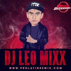 DJ LeoMixx PLR