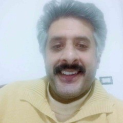 Osama Hamdy 13