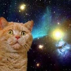 ネコ