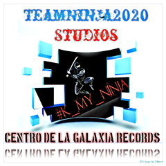 TeamNinja2020