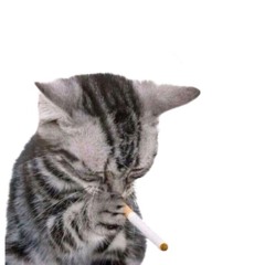 setogato