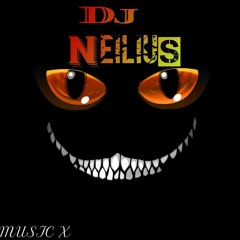 Dj Neilius