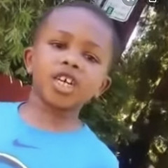 Sillysibin