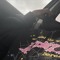 ratedskio®️
