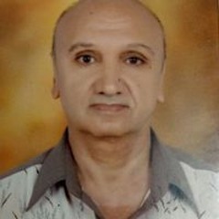 Adly Wahba