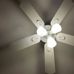 Hearts Still Beating