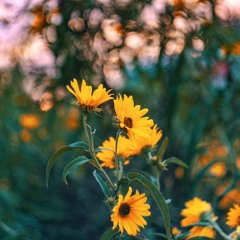 Nothing - April Ha Ha clean part g1