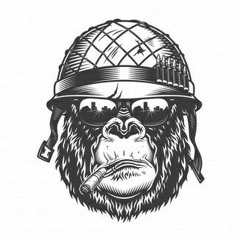 MAD APEZ