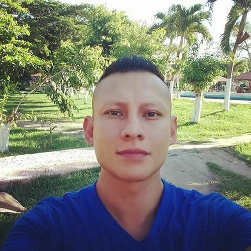 Arthurinho_Lopez’s avatar