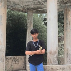 Rinal Chans_