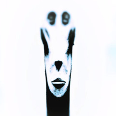 BVDA