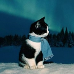 .- .-. -... ..- --..