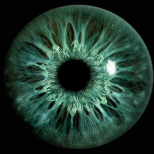 ICS Day Session 3/26/22:  "Never or Rarely"