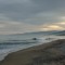 Wave
