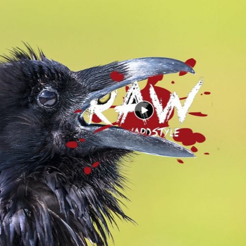 Stream 02 Chain Reaction Record Breaking (Ultra Xtra Raw Corvus 19