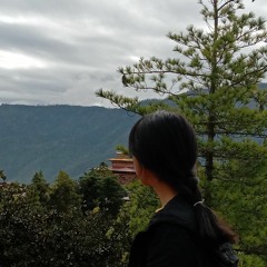 Dechen Wangmo