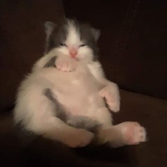 PRISTOR