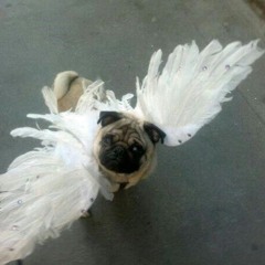 waejft omweopgjutiewug803uj\uejoplwjpwpi'jgpewijg