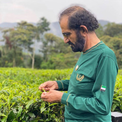 Mohammed Alhashmi
