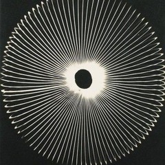 Coletivo Dimensões séries