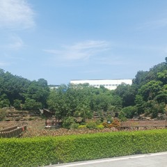 편안하게 독서할때  듣는 음악  집중력을 높이는 음악 ㅣ편안한 수면유도음악 ㅣ시험공부할때 듣는 음악  by 힐링메이트