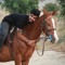 ali keshavarz
