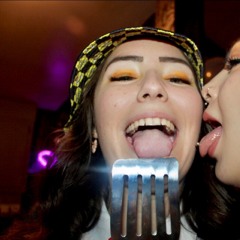 vic.skon