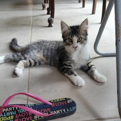 naty