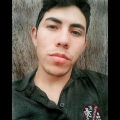 arnaldo2607