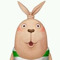 mybsdc