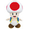 ToadGamer001!