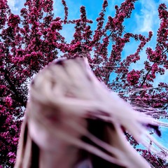 Restless Dream