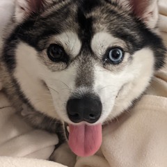 Kimberly-Ann Maniego