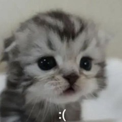 sam_m