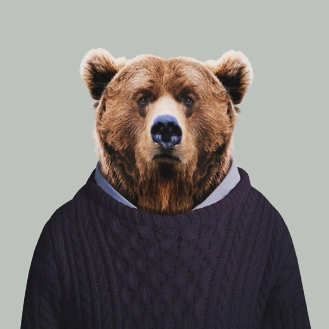 Stream The Bear music | Listen to songs, albums, playlists for free on ...