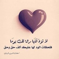 Vet Noha Shokr