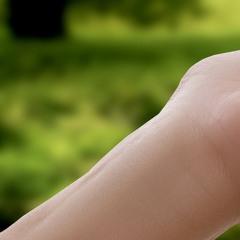 Special life partner