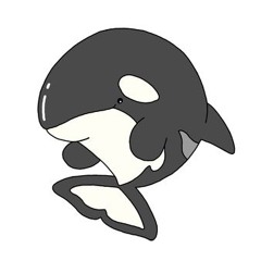 Orca