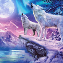 Wolf Alpha