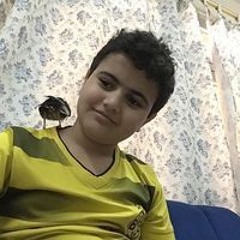 Mohammed Alkhazal